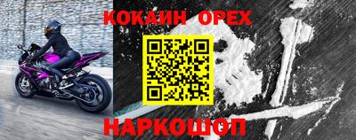 ГАЛЛЮЦИНОГЕННЫЕ ГРИБЫ Свободный