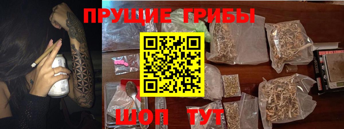 Нерюнгри  Псилоцибиновые грибы мицелий  Вход с VPN  Псилоцибиновые грибы ЛСД 